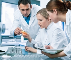 NSF - DBA | Professional Pharmaceutical Consultancy | Auditing Services 